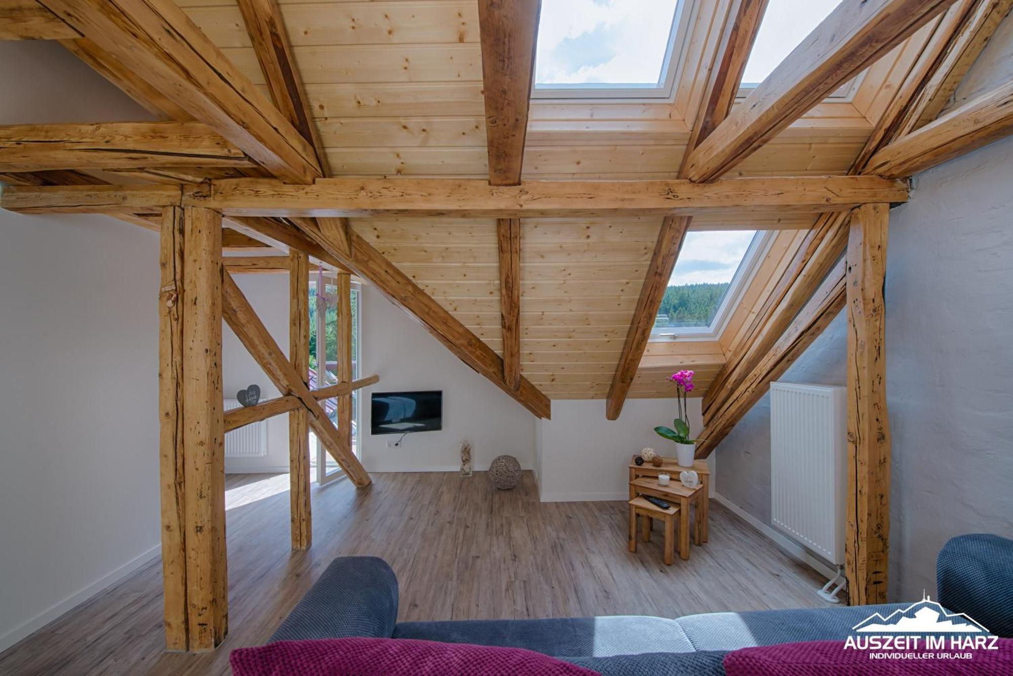 שירקה Auszeit Im Harz - Haus 2 Wohnung 5 מראה חיצוני תמונה