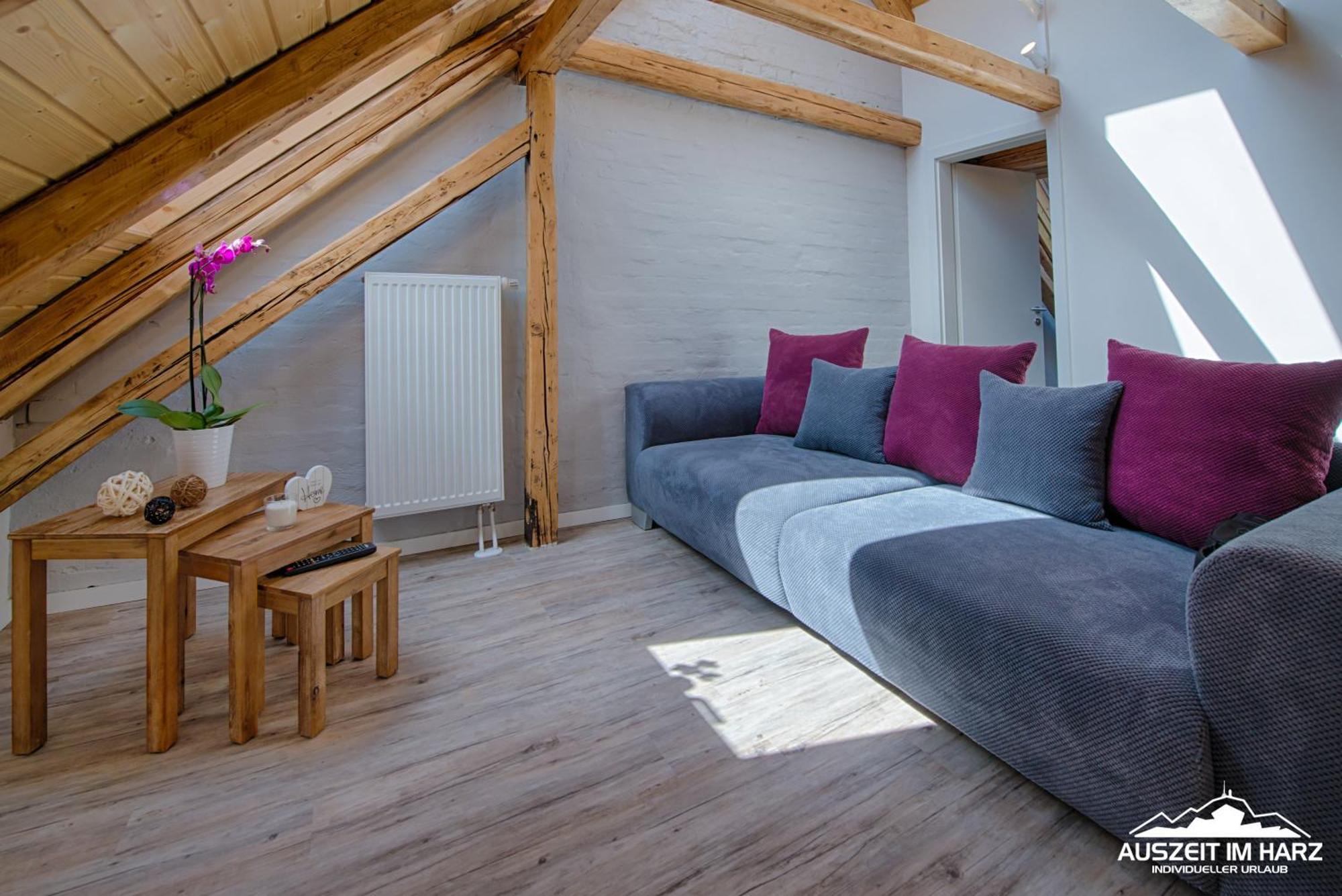 שירקה Auszeit Im Harz - Haus 2 Wohnung 5 מראה חיצוני תמונה
